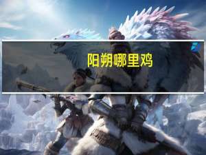 阳朔哪里鸡