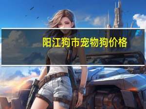 阳江狗市宠物狗价格