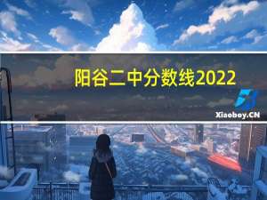 阳谷二中分数线2022（阳谷二中）