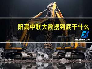 阳高中联大数据到底干什么
