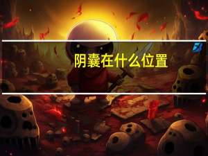 阴囊在什么位置（阴囊是什么部位）