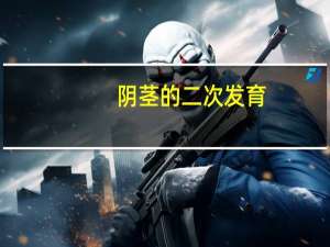 阴茎的二次发育