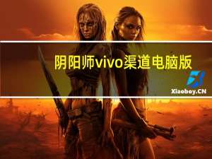 阴阳师vivo渠道电脑版（阴阳师辅助工具电脑版）