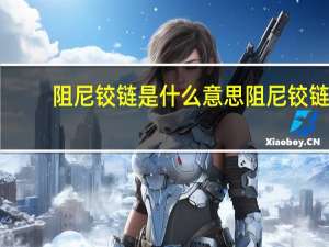 阻尼铰链是什么意思 阻尼铰链