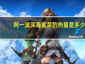 阿一波 深海紫菜的热量是多少