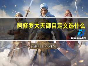 阿修罗大天御自定义选什么
