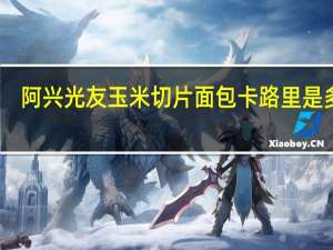 阿兴 光友 玉米切片面包卡路里是多少