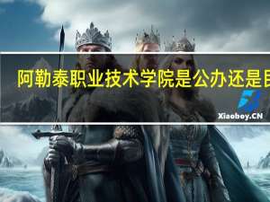 阿勒泰职业技术学院是公办还是民办