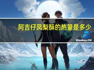 阿吉仔凤梨酥的热量是多少
