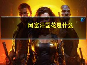 阿富汗国花是什么