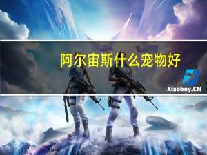 阿尔宙斯什么宠物好