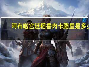 阿布啦 宫廷稻香肉卡路里是多少