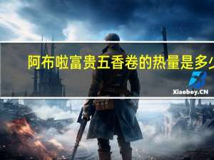 阿布啦 富贵五香卷的热量是多少