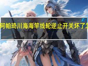 阿帕琦川海海竿线轮逆止开关坏了怎么修