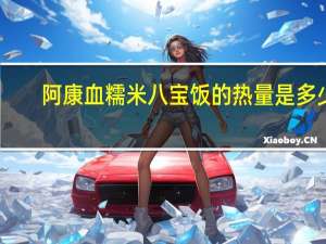 阿康 血糯米八宝饭的热量是多少