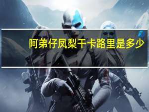 阿弟仔 凤梨干卡路里是多少