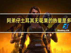 阿弟仔 土耳其无花果的热量是多少