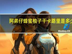 阿弟仔蜂蜜柚子干卡路里是多少