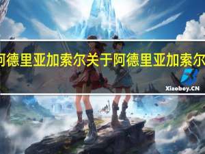 阿德里亚 加索尔 关于阿德里亚 加索尔的介绍