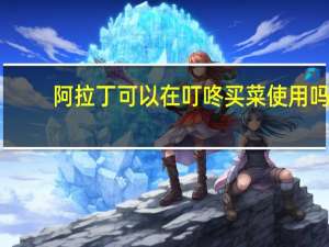阿拉丁可以在叮咚买菜使用吗