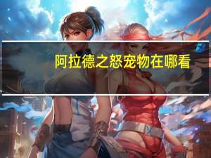 阿拉德之怒宠物在哪看