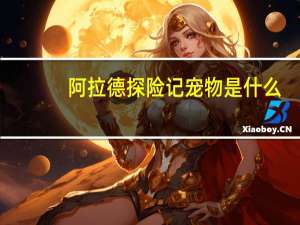 阿拉德探险记宠物是什么