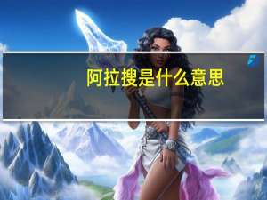 阿拉搜是什么意思