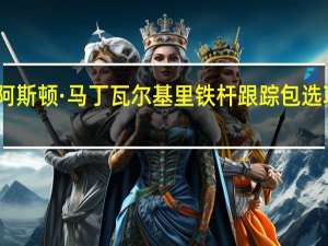 阿斯顿·马丁瓦尔基里铁杆跟踪包选项透露