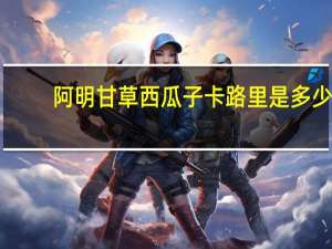 阿明 甘草西瓜子卡路里是多少