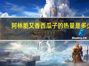 阿林 脆又香 西瓜子的热量是多少