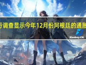 阿根廷央行调查显示今年12月份阿根廷的通胀年率将达到169.3%