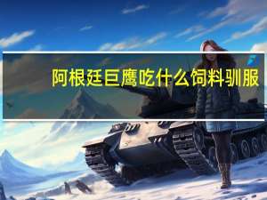 阿根廷巨鹰吃什么饲料驯服（阿根廷巨鹰）