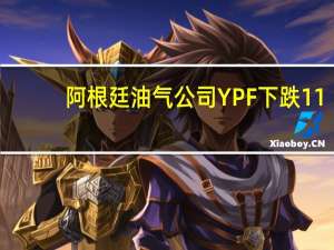 阿根廷油气公司YPF下跌11%