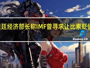 阿根廷经济部长称IMF曾寻求让比索贬值多达100%