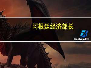 阿根廷经济部长：简化外汇交易的措施需要在12月10日之后进行