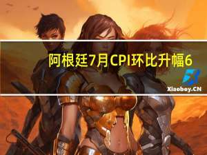 阿根廷7月CPI环比升幅6.3%市场预期7.1%阿根廷7月CPI同比升幅113.4%市场预期115.0%