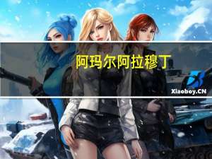 阿玛尔阿拉穆丁（阿玛尔-阿拉姆丁简介）