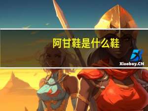 阿甘鞋是什么鞋