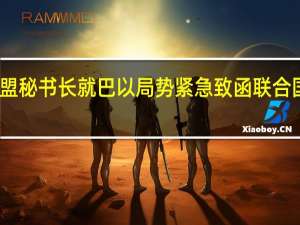 阿盟秘书长就巴以局势紧急致函联合国秘书长