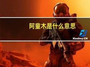 阿童木是什么意思