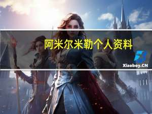 阿米尔米勒个人资料（阿米尔阿里森简介）