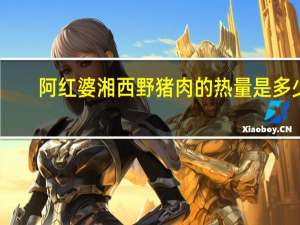 阿红婆 湘西野猪肉的热量是多少