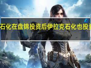 阿美石化在盘锦投资后伊拉克石化也投资八百亿吗