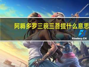 阿耨多罗三藐三菩提什么意思（三昧是什么意思）