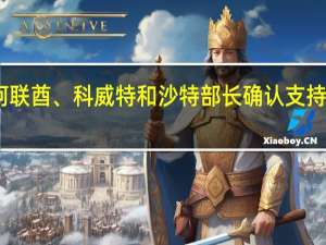 阿联酋、科威特和沙特部长确认支持欧佩克+的政策