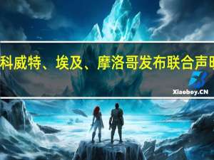 阿联酋、约旦、巴林、沙特、阿曼、卡塔尔、科威特、埃及、摩洛哥发布联合声明谴责针对加沙平民的袭击和违反国际人道法的行为