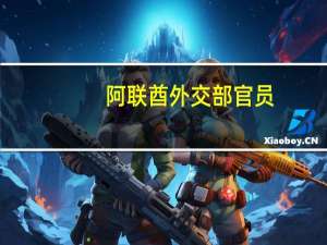 阿联酋外交部官员：我们正在不懈努力争取在加沙地带立即实现全面人道主义停火
