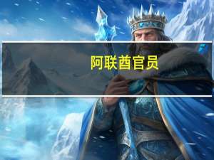 阿联酋官员：加沙地带的冲突的确存在区域溢出风险