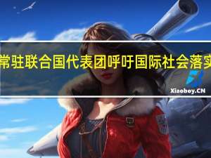 阿联酋常驻联合国代表团呼吁国际社会落实“两国方案”