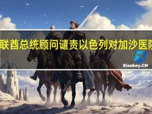 阿联酋总统顾问谴责以色列对加沙医院的袭击